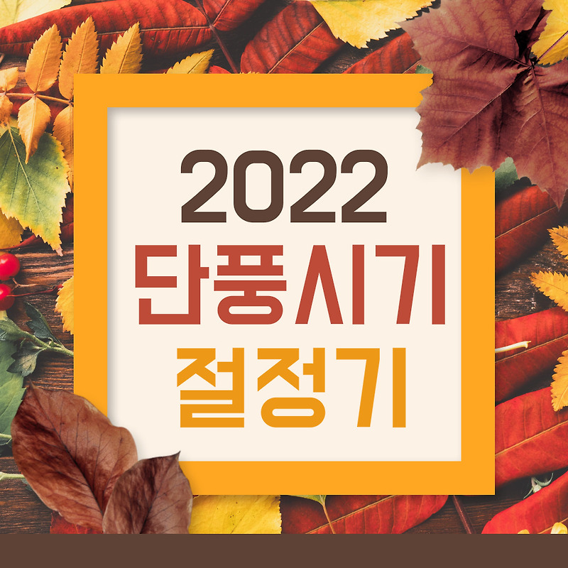 2022 가을 단풍시기 절정기 및 국내 단풍 명소 Best 3