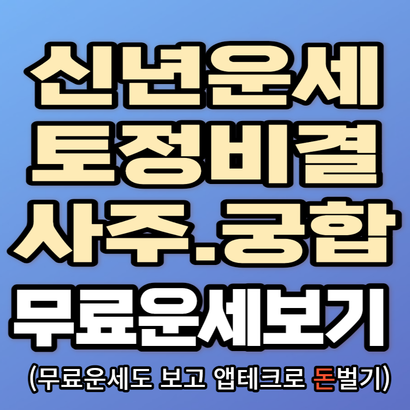 신년운세 토정비결 사주팔자 궁합 타로 무료운세 앱(사이트) 추천 - 트윈300