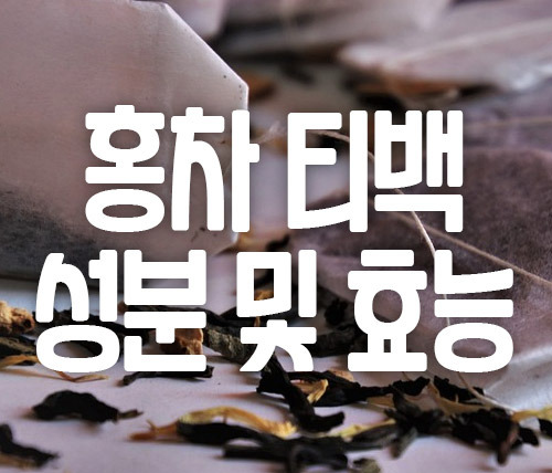 홍차 티백 효능 및 카페인 함량 살펴보기