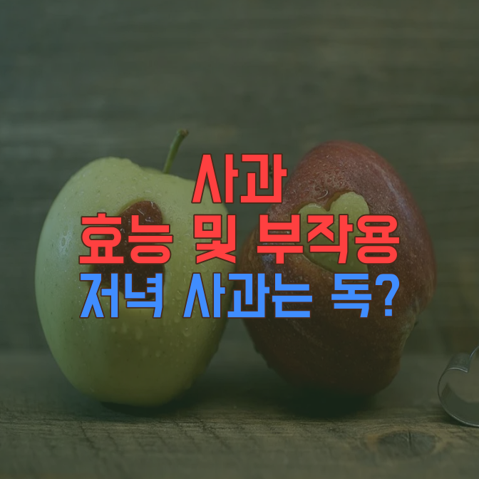사과 효능 부작용 정리(feat. 아침 사과)