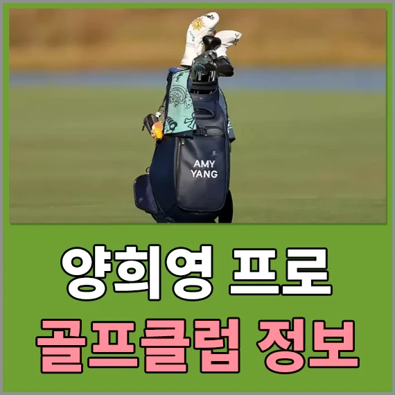 LPGA CME그룹 투어챔피언십 우승 - 양희영(Amy Yang) 프로 골프클럽 알아보기