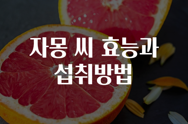 자몽 씨 효능과 섭취방법 정리