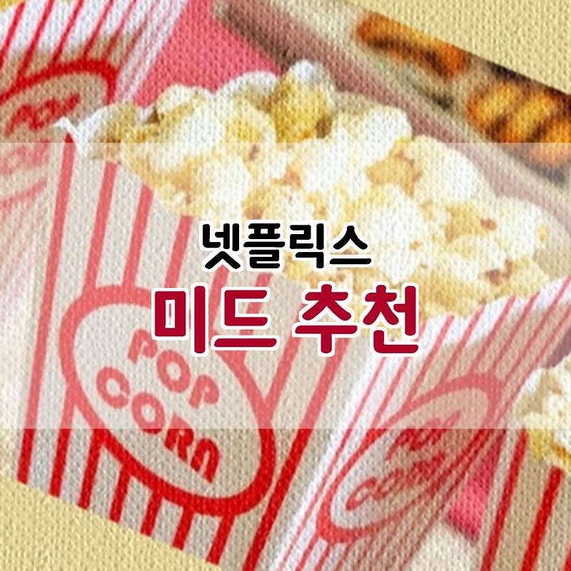 넷플릭스 미드 추천 장르별 Best  인기작 리스트 - 진바름뉴스