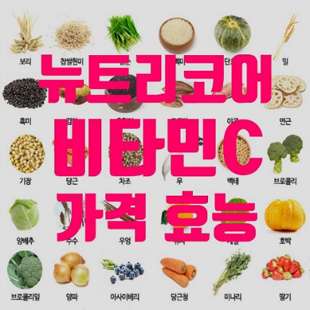 뉴트리코어 비타민C 가격 효능 부작용