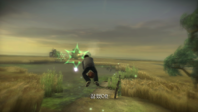 (KOR - 닌텐도 Wii 한글판) 해리포터와 혼혈왕자