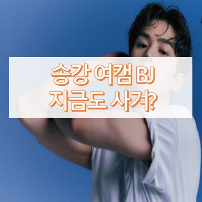 송강 여캠 BJ 유소희 지금도 사귀나?