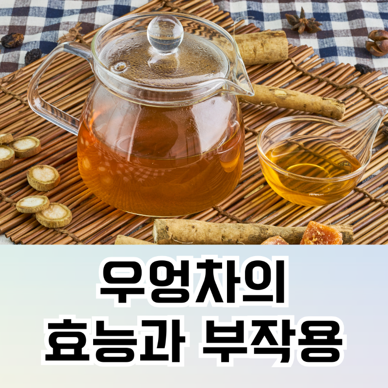 우엉차 효능, 부작용, 만드는법, 먹는 방법, 카페인 함량