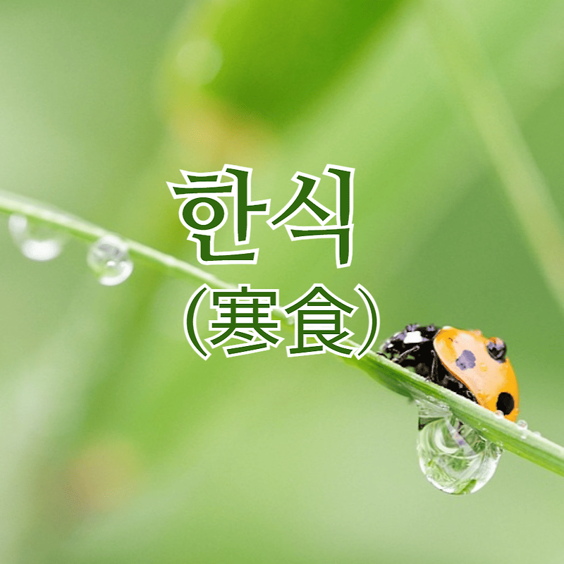 우리의 4대 명절, 🌳한식 : 잊혀져 가는 🇰🇷 전통을 되살리는 날