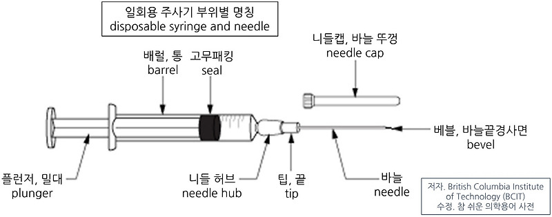 [18개월 발달] 문장 발화 영어 발화 이제 시작!