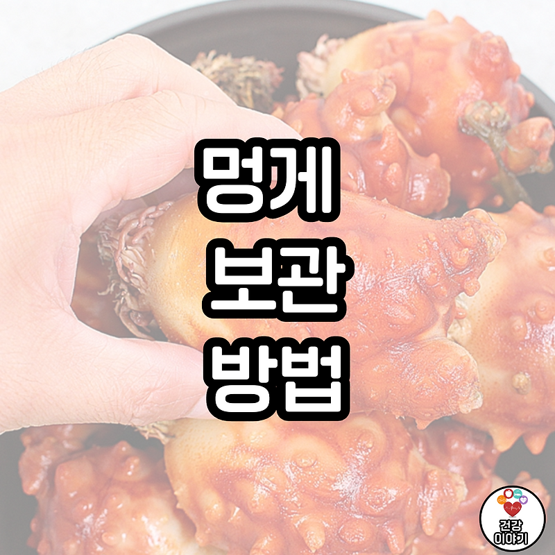 멍게 보관방법, 멍게 오래먹는 방법