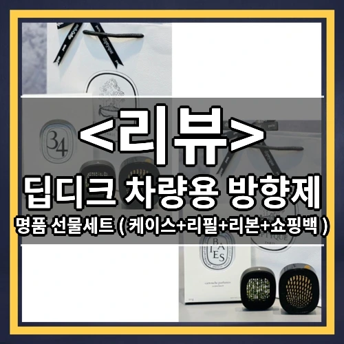 딥디크 차량용 방향제 추천