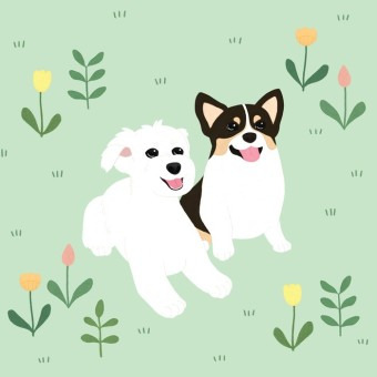 동물 명언(A well-known saying about animal)