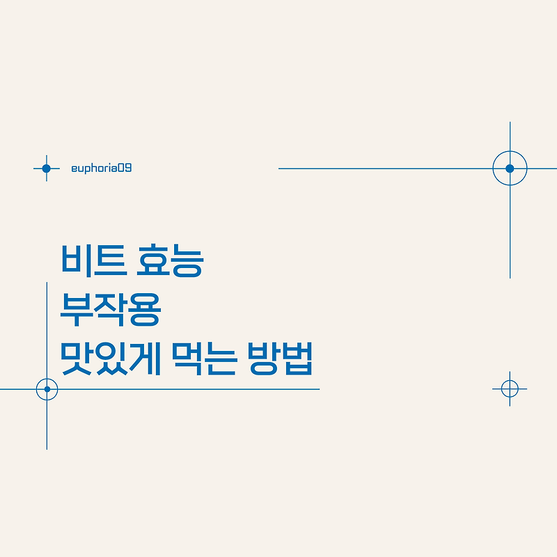 비트 효능 부작용 맛있게 먹는 방법