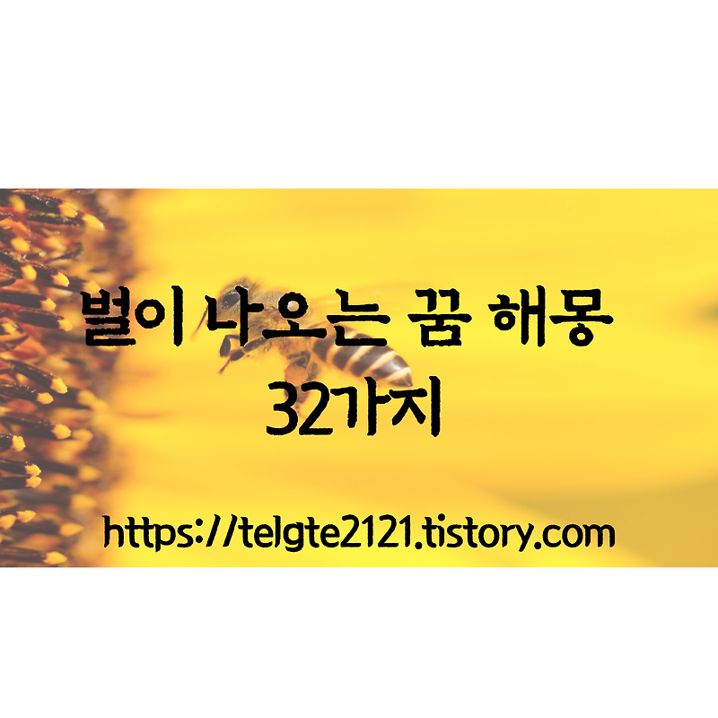 벌이 나오는 꿈 해몽 32가지