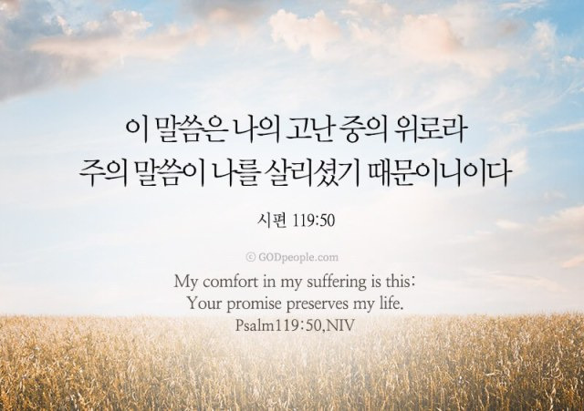 약속의 말씀은 고난 중 위로, 절망 속 소망입니다.