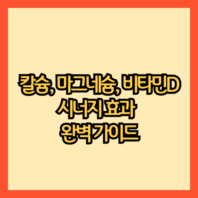 칼슘, 마그네슘, 비타민D: 시너지 효과로 건강 지키는 완벽 가이드