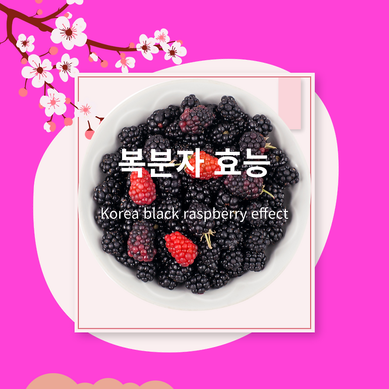 복분자 효능(south korea black raspberry effect)