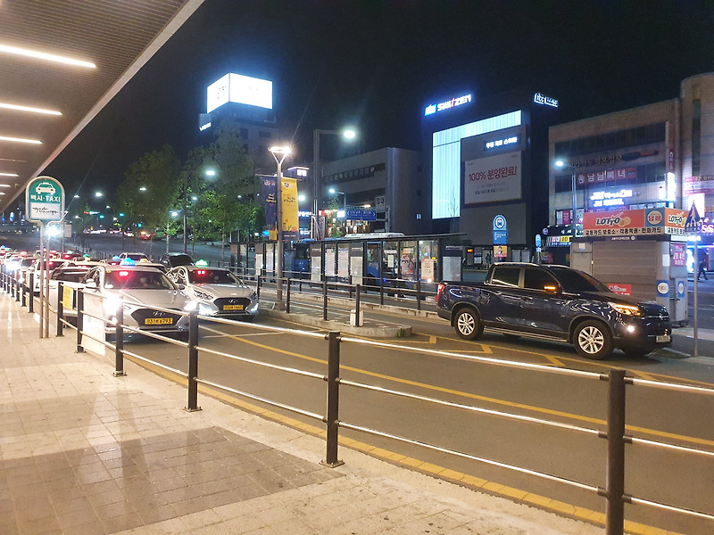 동대구역 버스 터미널 화물 택배 - 바다를 건너는 사자