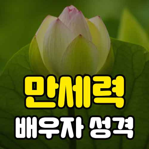 만세력 사주로 배우자 성격 보는법