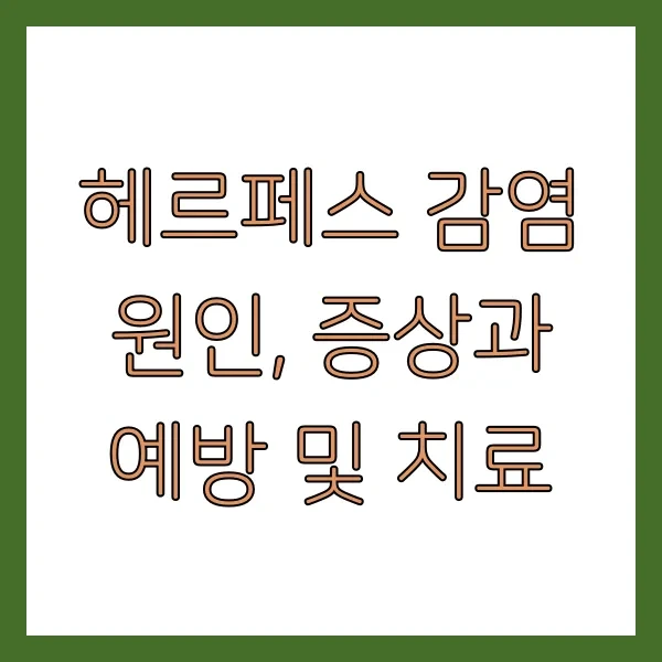헤르페스 감염 원인, 증상과 예방 및 치료