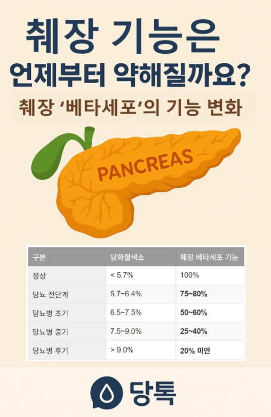 🩸2편: 췌장 기능은 언제부터 약해질까요? – 진단 시점 이미 50%상실??