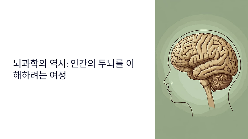 뇌과학의 역사: 인간의 두뇌를 이해하려는 여정