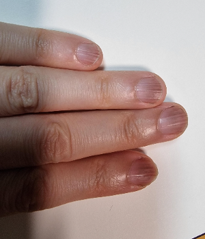 모다모다 염색 샴푸 손톱 염색