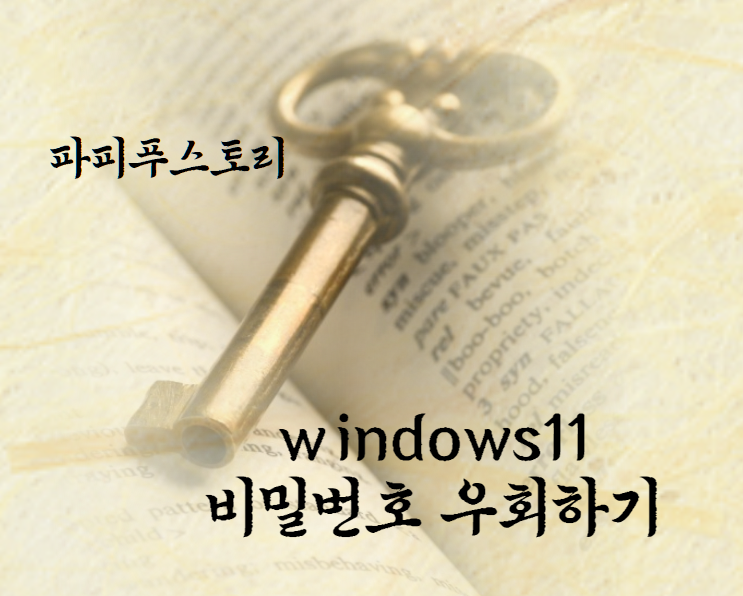 윈도우11 비밀번호 분실시 설정 변경방법 (Windows10 포함)