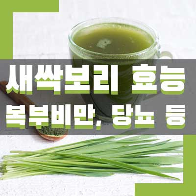 새싹보리 효능 8가지 - 다이어트, 콜레스트롤, 해독 등