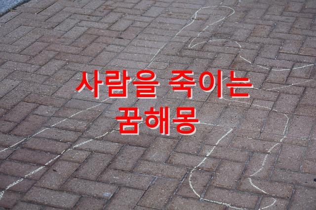 사람 죽이는 꿈에는 어떤 의미가 있을까요? :: 꿈해몽ㅡ무료꿈풀이