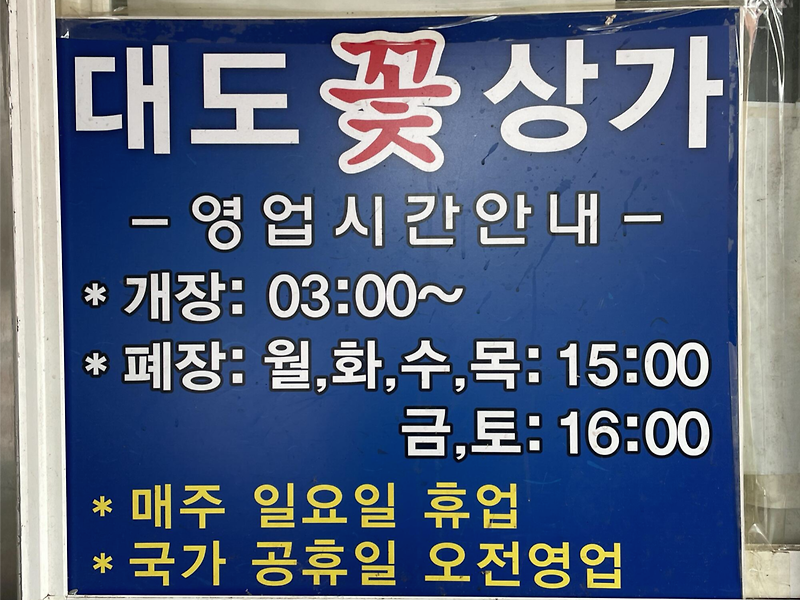 남대문꽃시장 '대도종합상가' 영업시간 및 주차 팁 (생화 꽃 / 포장지 살때)
