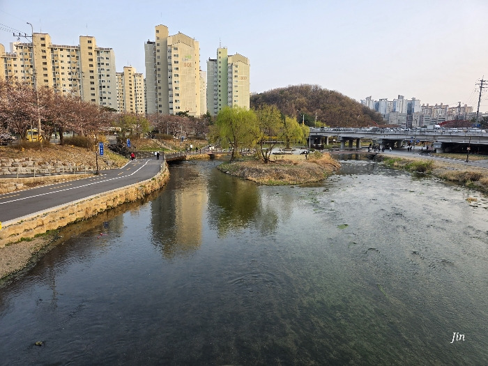 죽전에서 만나는 봄 – 개천 따라 걷는 산책길 추천
