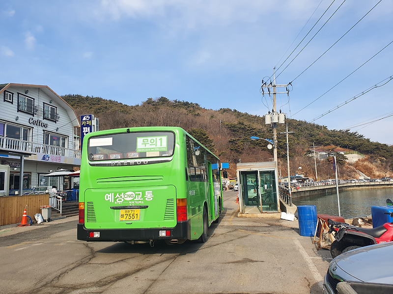 대중교통으로 무의도 가는법 (무의도 세렝게티 백패킹)