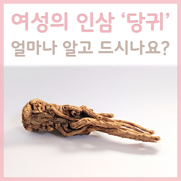 당귀 효능 얼마나 알고 드시나요?