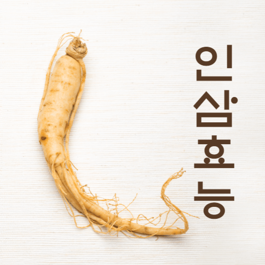 인삼 효능 보관 방법 알기 쉽게 정리 :: 건강 상식