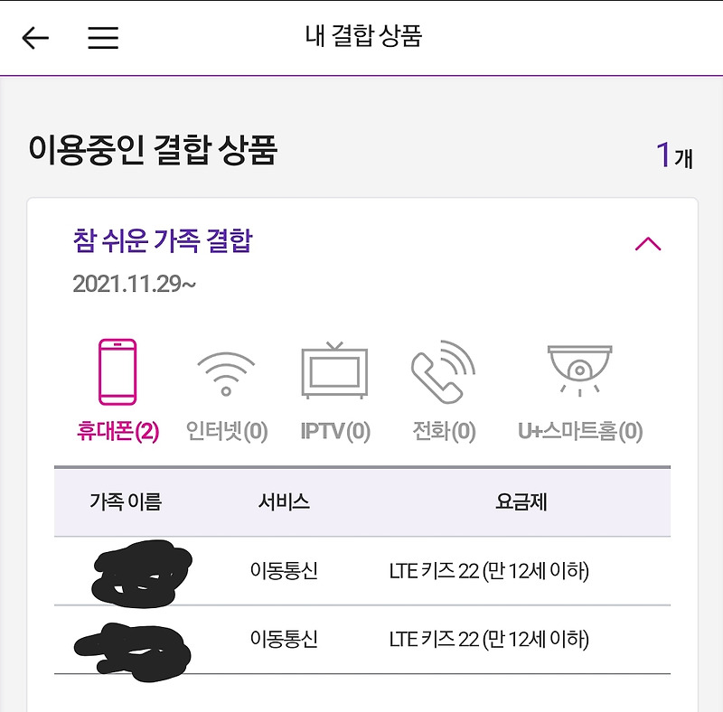 LG U+ 결합할인 중 