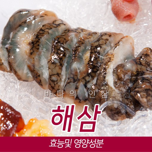 연재 033 약선식품 동의보감, 해삼, 자삼(紫蔘), 해서(海鼠), 료삼(遼蔘), 해남자(海南子)의 효능에 대해 알아봅니다.