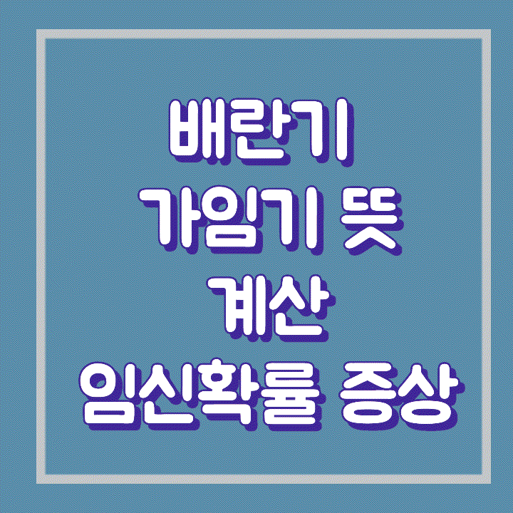 배란기 가임기 뜻 계산 임신확률 증상