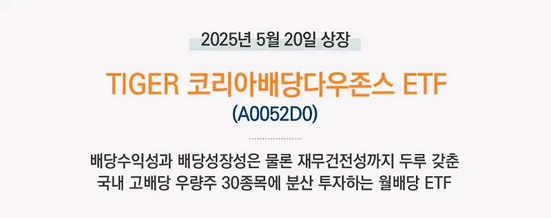 고배당과 안정성을 잡는 2025년 투자 기회, TIGER 코리아배당다우존스 ETF