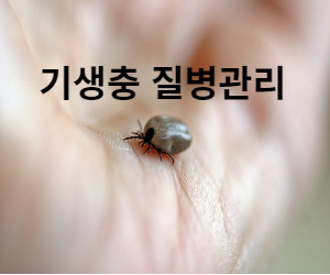 기생충 질병관리