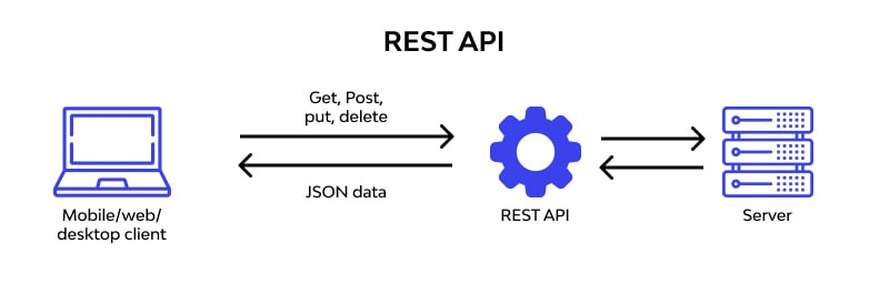 REST API와 Websocket API — 개발하는 미뇽
