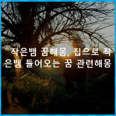 작은뱀 꿈해몽, 집으로 작은뱀 들어오는 꿈 관련해몽