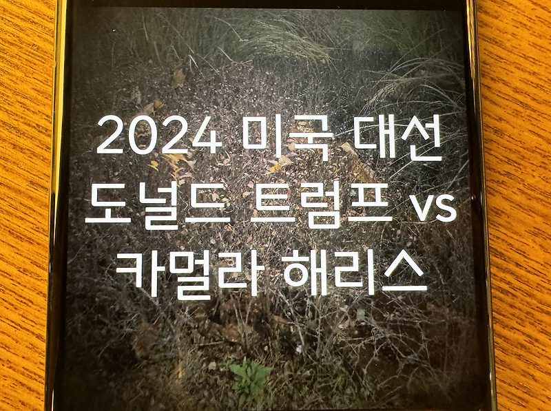 2024 미국 <b>대선</b> 날짜 후보, <b>트럼프</b> vs <b>해리스</b> 승자는?