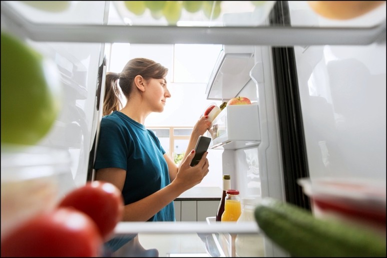 냉동실, 냉장고, 적정온도 여름 기본 설정은 어떻게할까? 냉기, 냉매, 원리뷰어 닫기