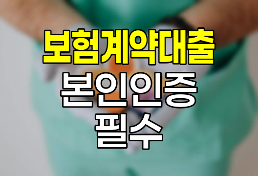 현대해상 보험계약대출 본인인증 필수