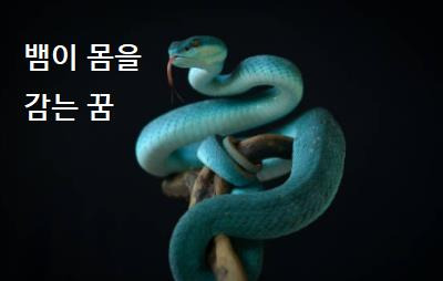 뱀 꿈 해몽 뱀이 몸을 감는 꿈