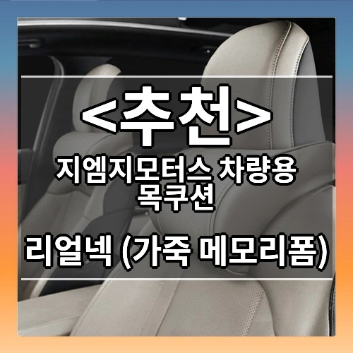 지엠지모터스 차량용 목쿠션 추천