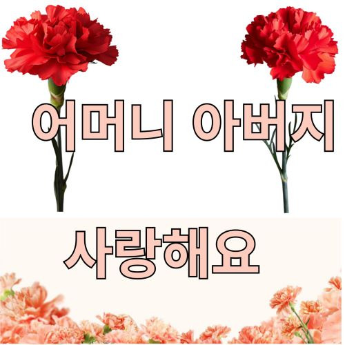 어버이날 마음을 전하는 특별한 선물 고르기