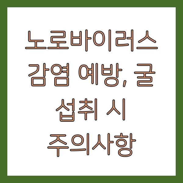 노로바이러스 감염 예방, 굴 섭취 시 주의사항