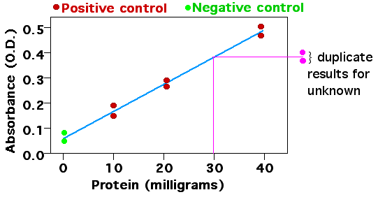 280nm에서 단백질 흡광계수 이론적으로 계산하기 (Extinction coefficient)